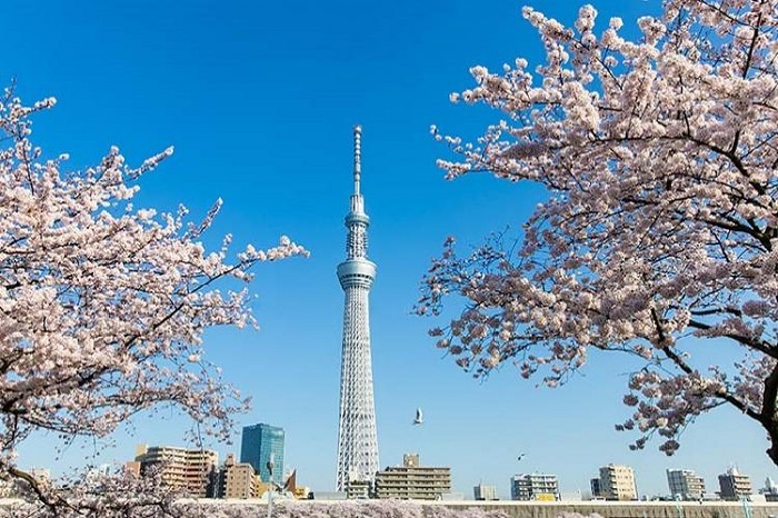 Tokyo Sky Tree 