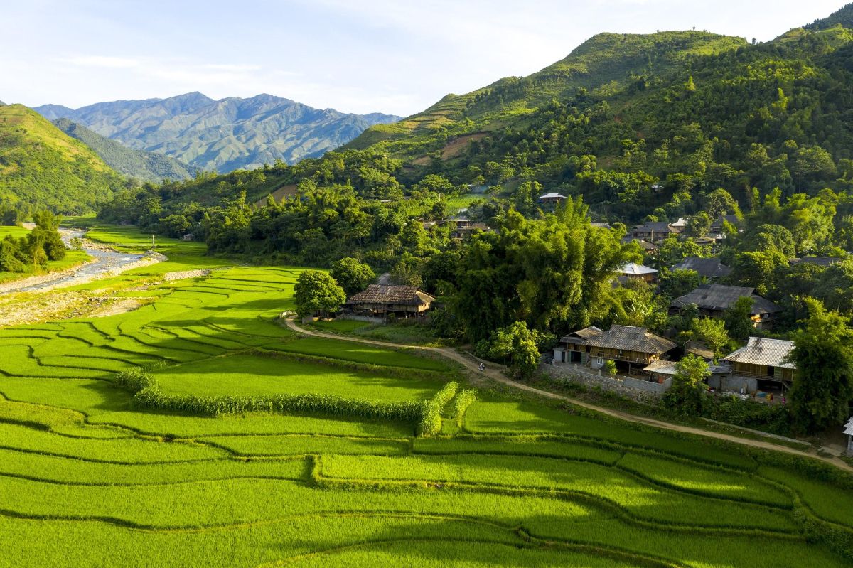 Tham quan làng cốm Tú Lệ để hòa bình vào cuộc sống bình dị của người dân
