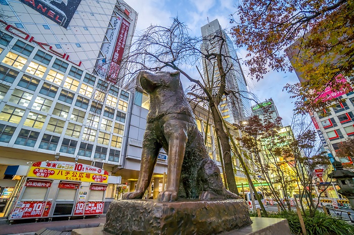 Tượng chú chó Hachiko