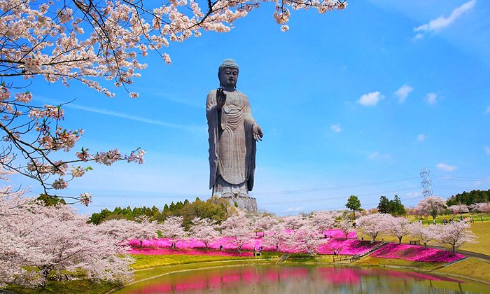 Tượng phật A Di Đà (Ushiku Daibutsu)
