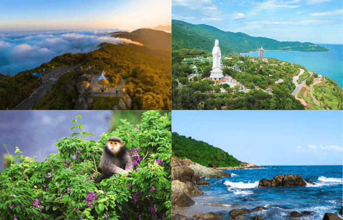 Vẻ đẹp mê hồn của bán đảo Sơn Trà Tour Đà Nẵng Hội An 3 ngày 2 đêm
