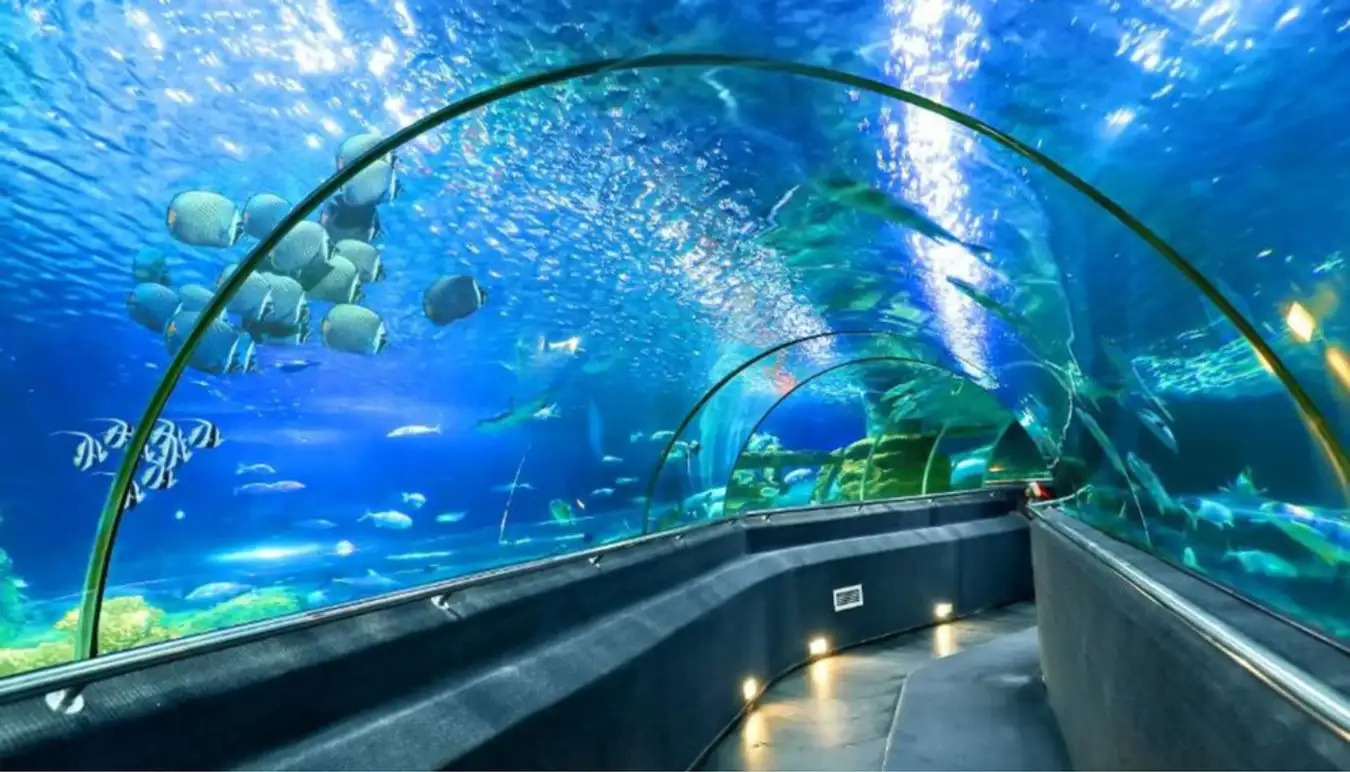 Du Lịch Nha Trang: HCM - Nha Trang - Đảo Tôm Hùm Bình Ba 3N3Đ