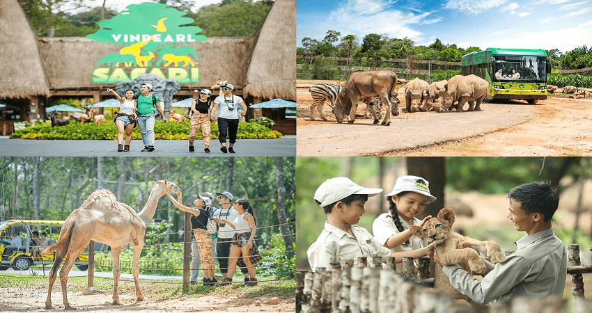 Tham quan Vinpearl Safari trong Tour Đảo Hòn Thơm Phú Quốc