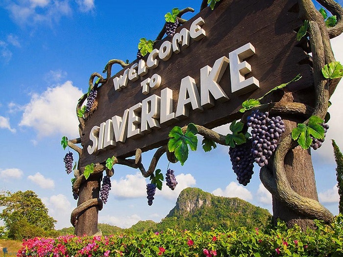 Vườn nho Silver Lake