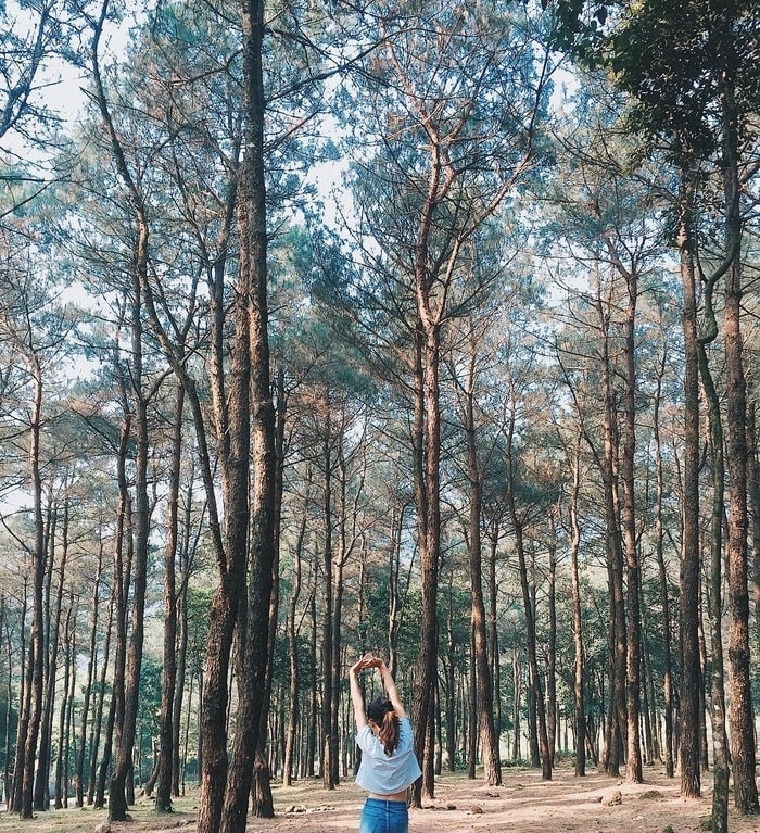 Sở hữu độ cao, Ba Vì sừng sững uy nghiêm