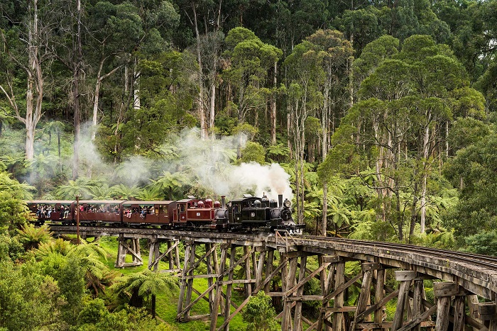 Xe lửa hơi nước: Puffing Billy