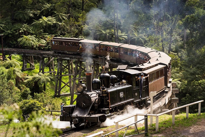 Xe lửa hơi nước Puffing Billy