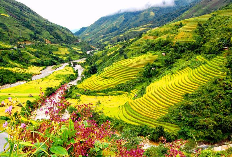Hàm Tồng Sapa