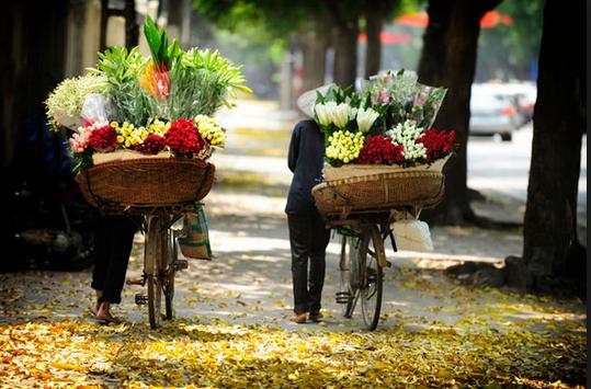 Những gánh hóa rong