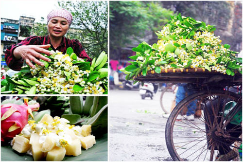 Gánh hàng rong hoa bưởi Hà Nội