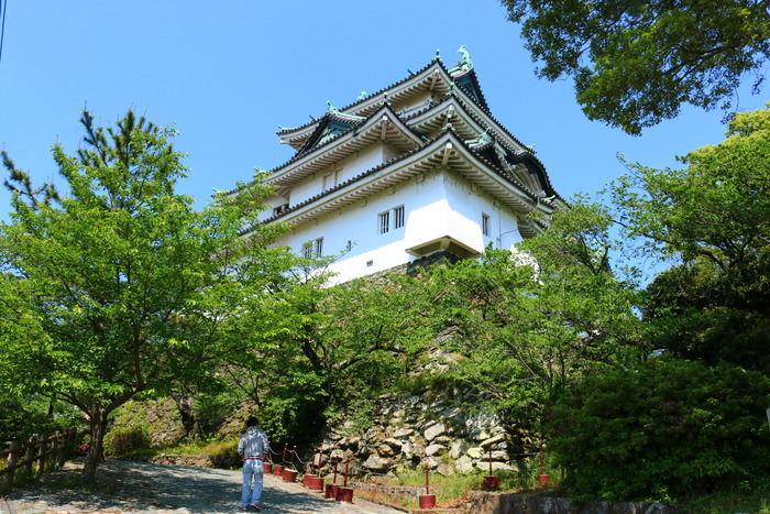 Lâu đài Wakayama 
