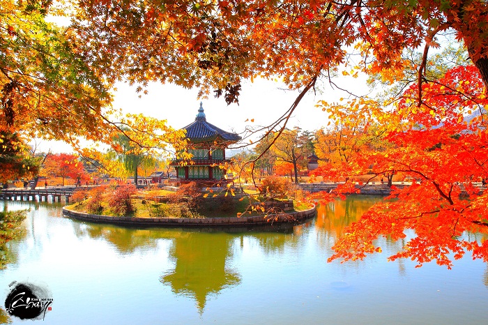 Cung điện Gyeongbok mùa thu Cung điện Gyeongbok mùa thu