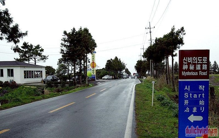 The Road Mysterious The Road Mysterious