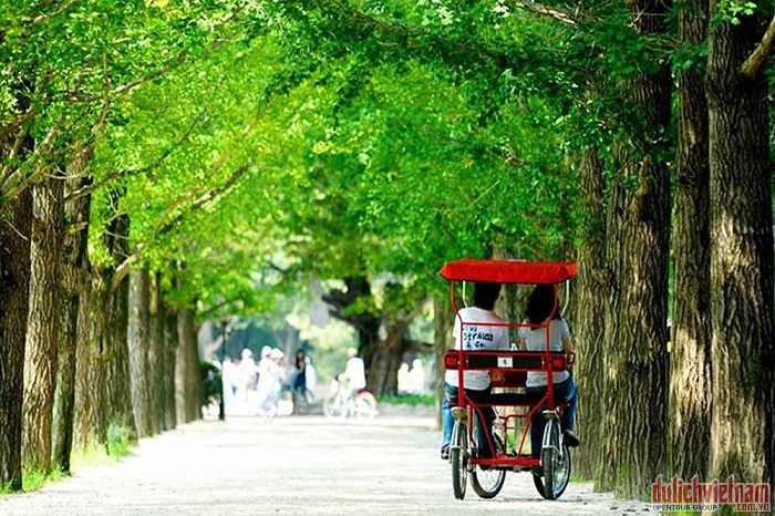 Đảo Nami
