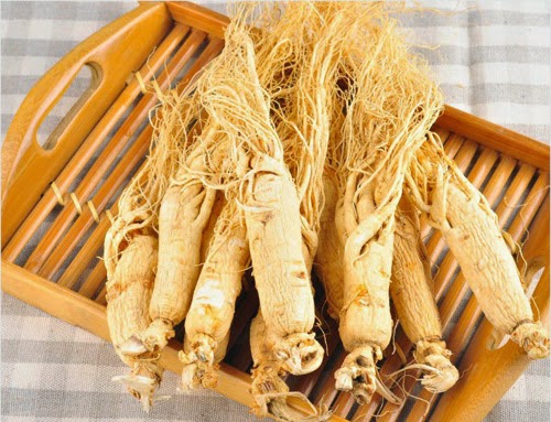 Nhân sâm Hàn Quốc