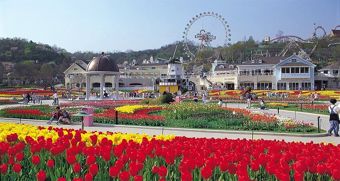 Everland - công viên giải trí hàng đầu Hàn Quốc