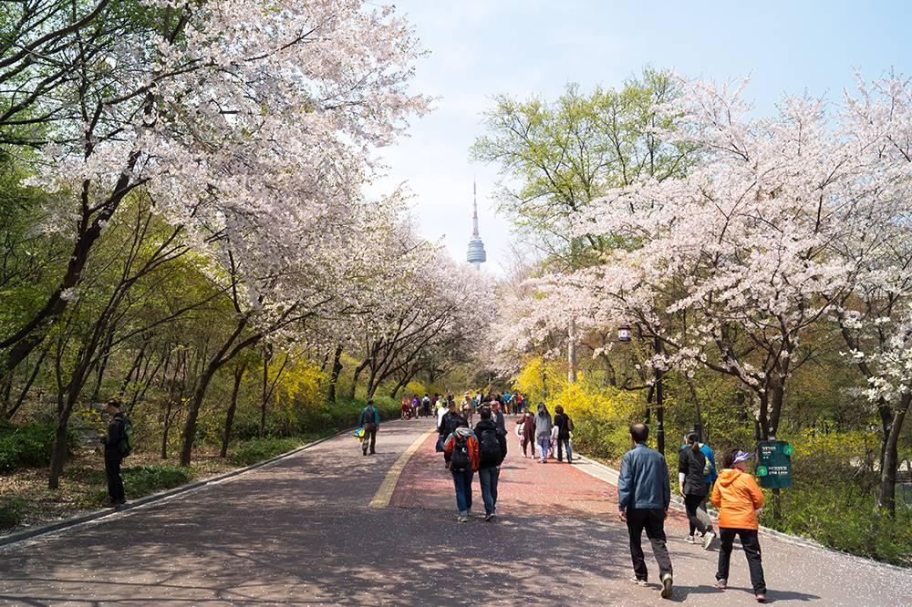 công viên namsan