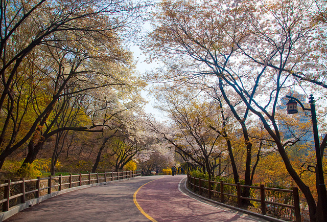 công viên namsan