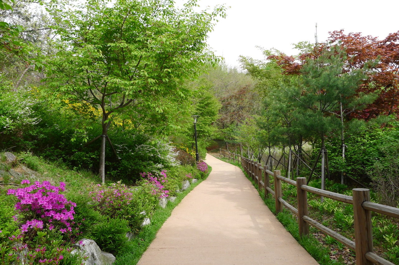 công viên namsan