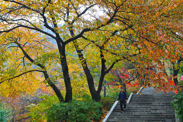 công viên namsan