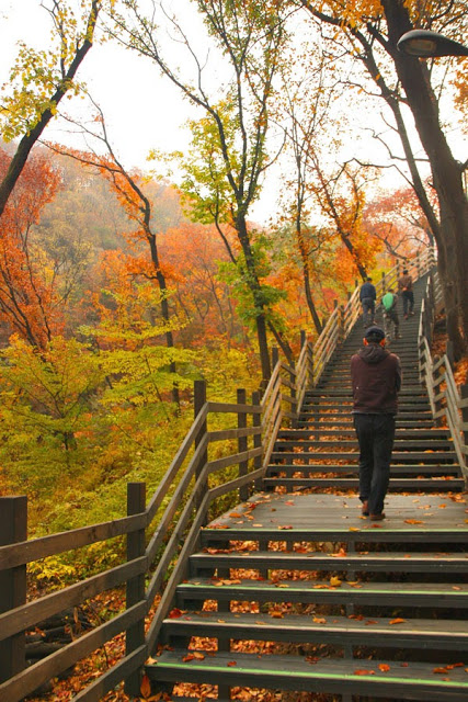 công viên namsan