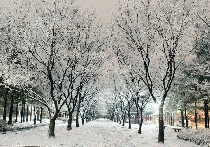 công viên namsan