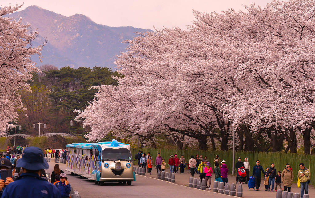 công viên Seoul grand