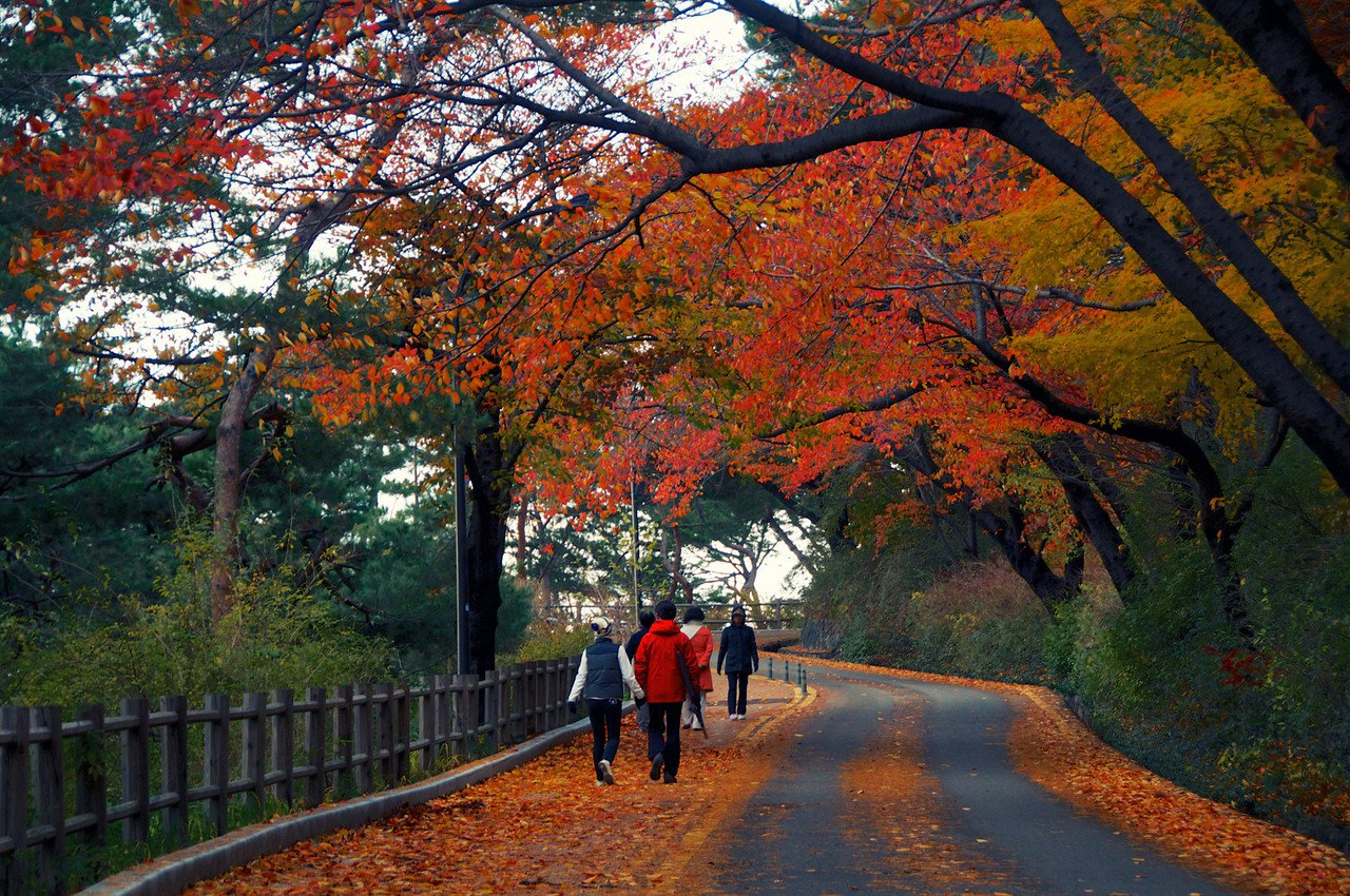 tháp namsan seoul
