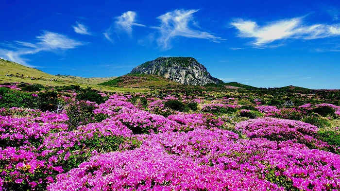 Vẻ đẹp tuyệt vời của hòn đảo Jeju