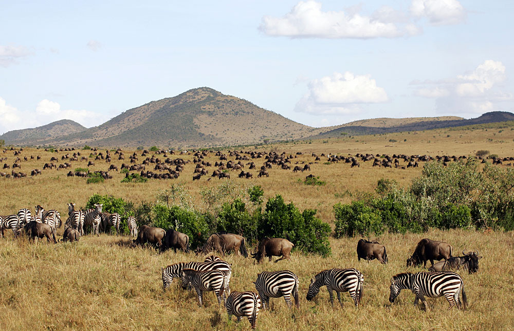Khu bảo tồn thiên nhiên hoang dã Masai Mara