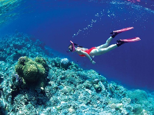 Lặn biển đảo Mabul