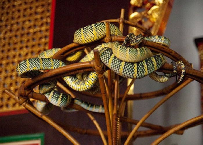 Đền Rắn