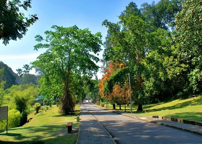 Vườn thực vật Penang