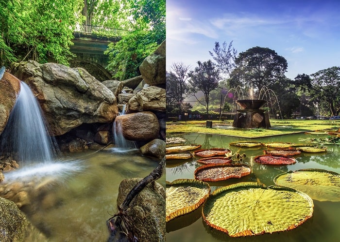 Vườn thực vật Penang