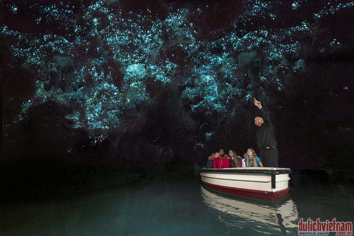 Động đom đóm Waitomo