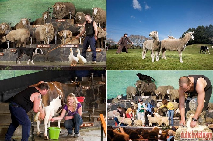 Nông trại Agrodome