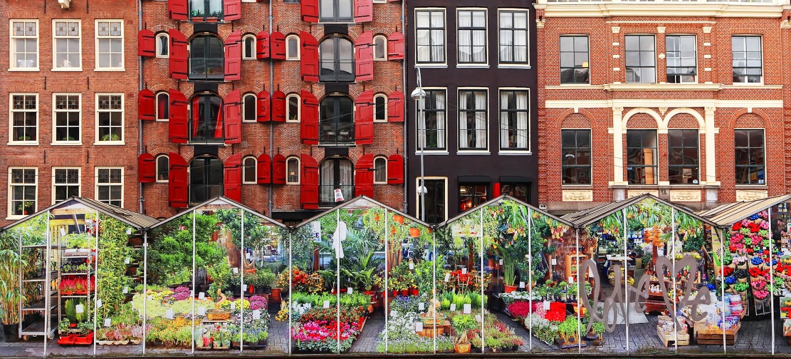 Chợ hoa Bloemenmarkt 