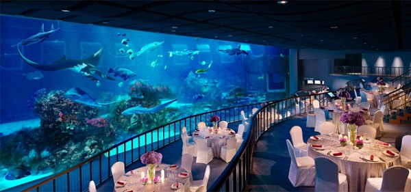 Ăn tối ở S.E.A. Aquarium