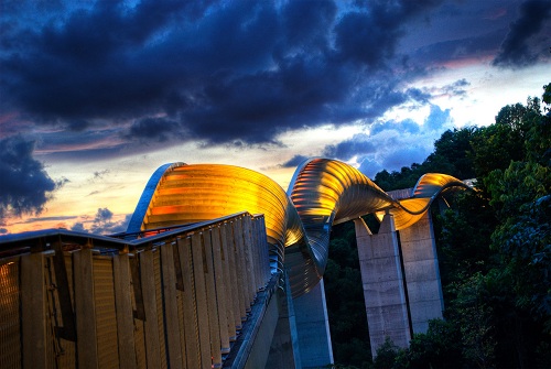 Cầu Henderson Waves 