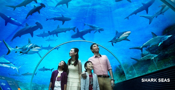 Thủy cung khổng lồ S.E.A. Aquarium