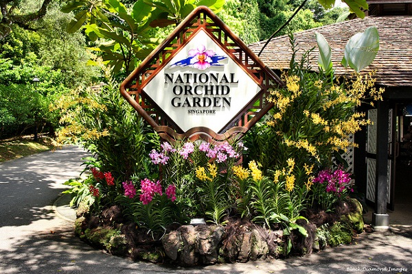 Vườn Lan National Orchid Garden