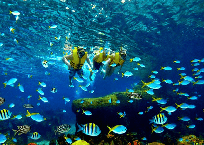 Aquarium Aquarium