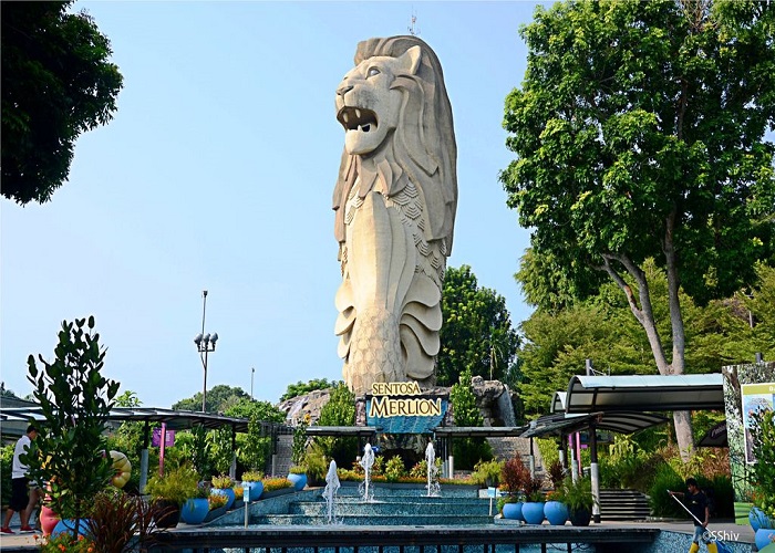 Sử tử biển trên đảo Sentasa