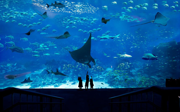 Thủy cung nhân tạo SEA AQUARIUM