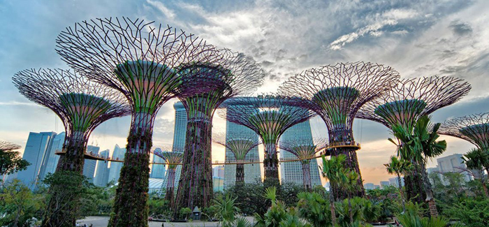 Vườn sinh thái Gardens by the Bay