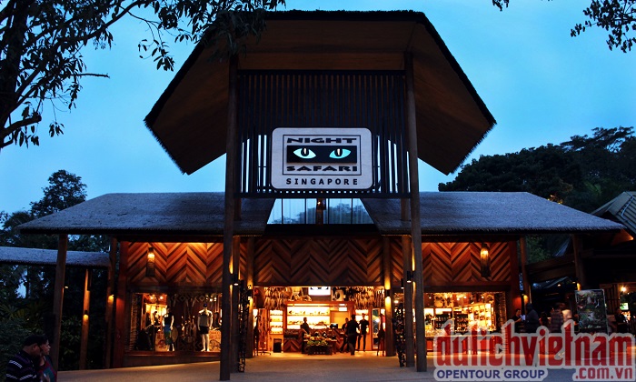 Night Safari