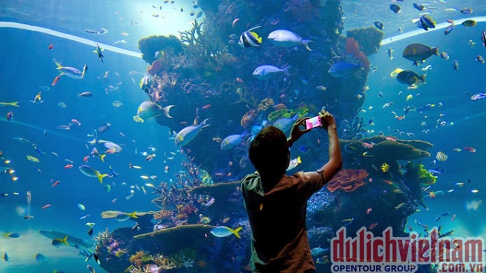 Sea Aquarium