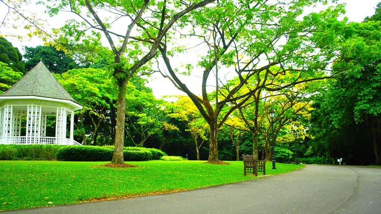 Vườn bách thảo singapore