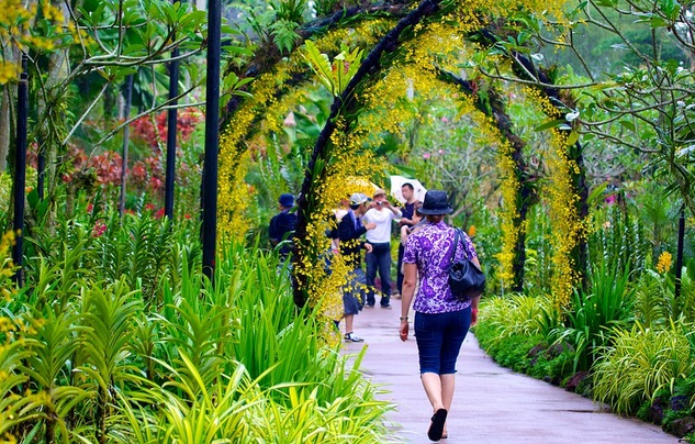 Vòm cổng lan cực kỳ đẹp mắt