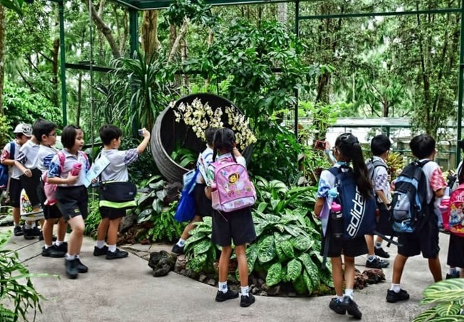 Không gian riêng cho trẻ em trong vườn Bách Thảo
